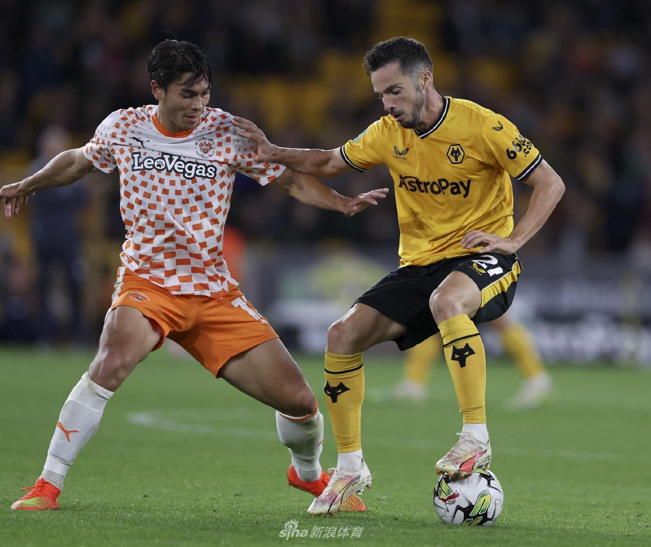 队合作精神 队合作精神